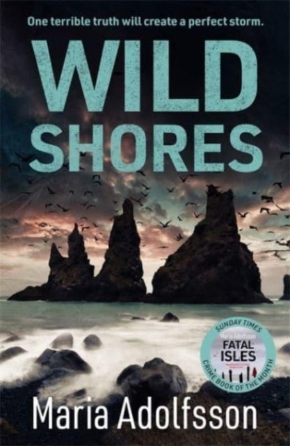 Wild Shores - The bestselling atmospheric police procedural that has taken the world by storm
