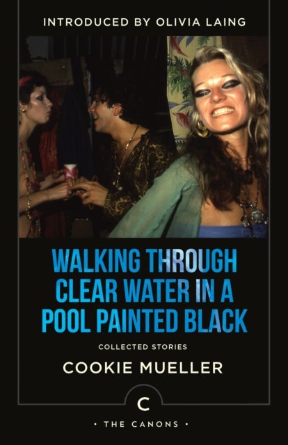 Walking Through Clear Water In a Pool Painted Black - Collected Stories