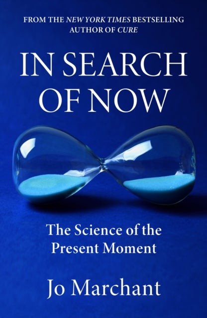 In Search of Now - The Science and Mystery of the Present Moment