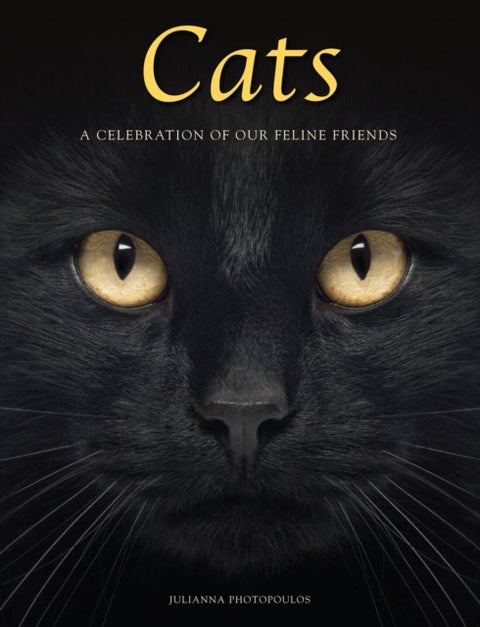Cats - A Celebration of our Feline Friends