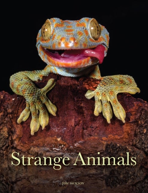 Strange Animals