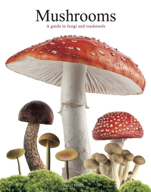 Mushrooms - A guide to fungi and toadstools
