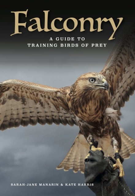 Falconry - A guide to training birds of prey
