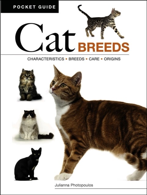 Cat Breeds - Characteristics * Breeds * Care * Origins