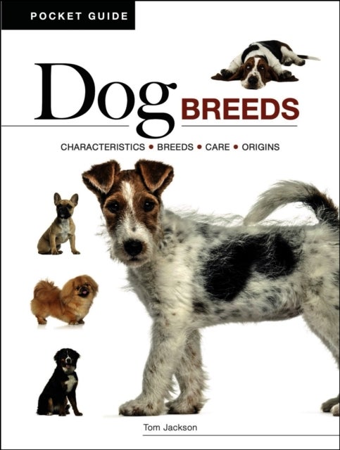 Dog Breeds - Characteristics * Breeds * Care * Origins