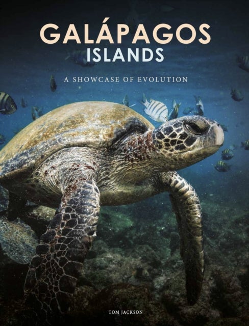 Galapagos Islands - A Showcase of Evolution