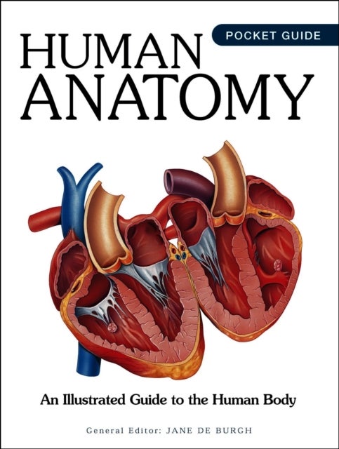 Human Anatomy - An Illustrated Guide to the Human Body