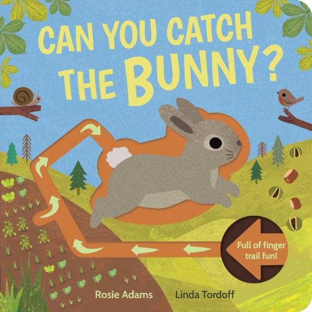 Can You Catch the Bunny? - Can You Catch the Bunny?