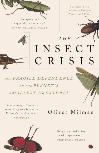 The Insect Crisis - Our Fragile Dependence on the Planet's Smallest Creatures