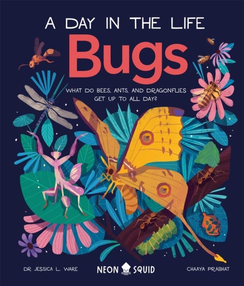 Bugs (A Day in the Life) - What Do Bees, Ants, and Dragonflies Get up to All Day?