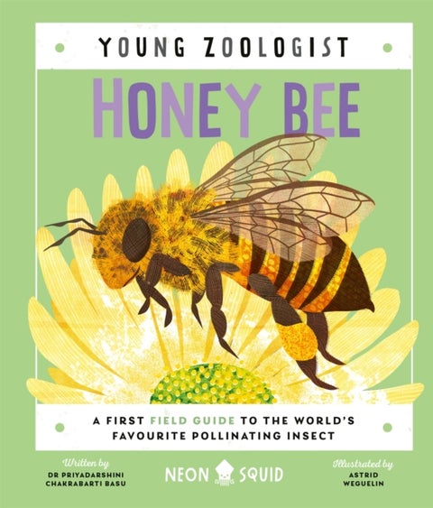 Honey Bee (Young Zoologist) - A First Field Guide to the World’s Favourite Pollinating Insect