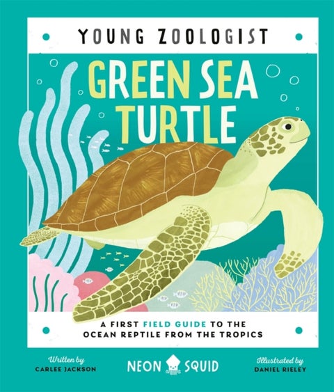 Green Sea Turtle (Young Zoologist) - A First Field Guide to the Ocean Reptile from the Tropics