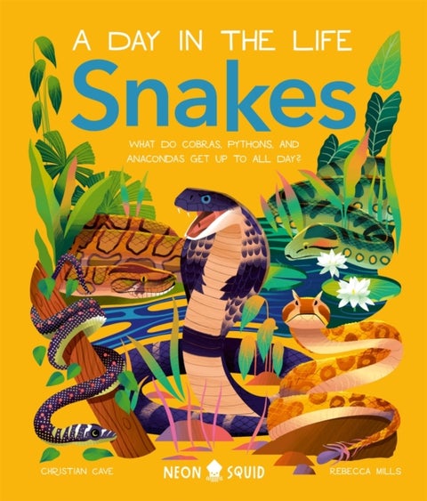 Snakes (A Day in the Life) - What Do Cobras, Pythons, and Anacondas Get Up to All Day?