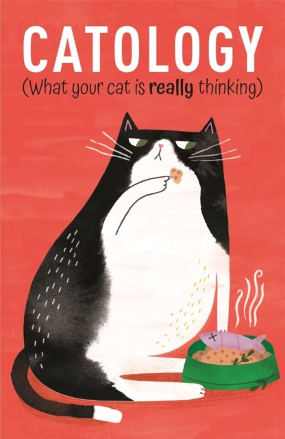 Catology - What Your Cat is Really Thinking