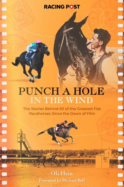 Punch a Hole - The Stories Behind 50 of the Greatest Flat Racehorses Since the Dawn of Film