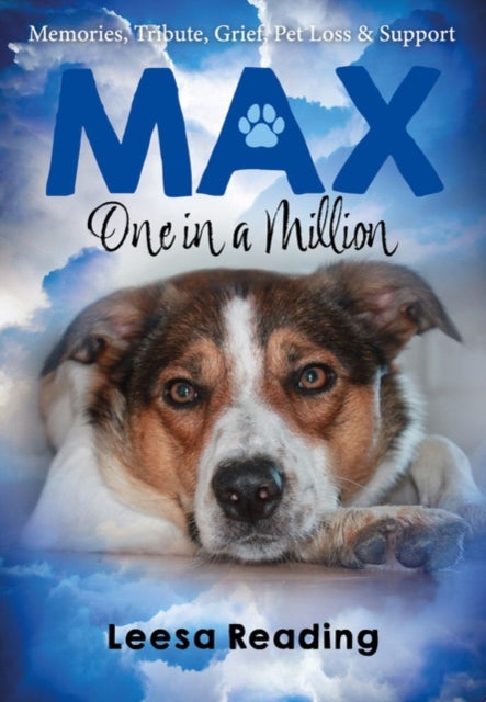 Max: One in a Million - Memories, Tribute, Grief, Pet loss & Support