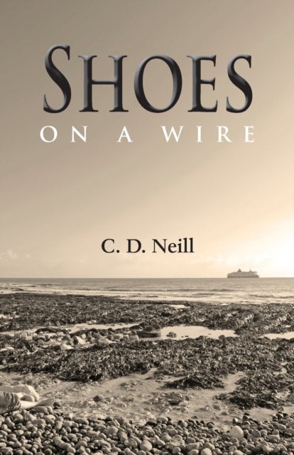 Shoes on a Wire - A Wallace Hammond Novel