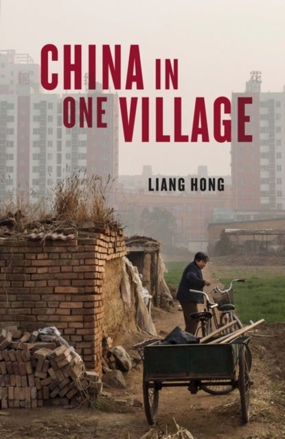 China in One Village - The Story of One Town and the Changing World