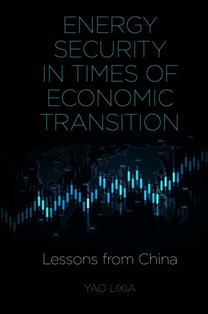 Energy Security in Times of Economic Transition - Lessons from China