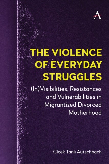 The Violence of Everyday Struggles - (In)Visibilities, Resistances and Vulnerabilities in Migrantized Divorced Motherhood