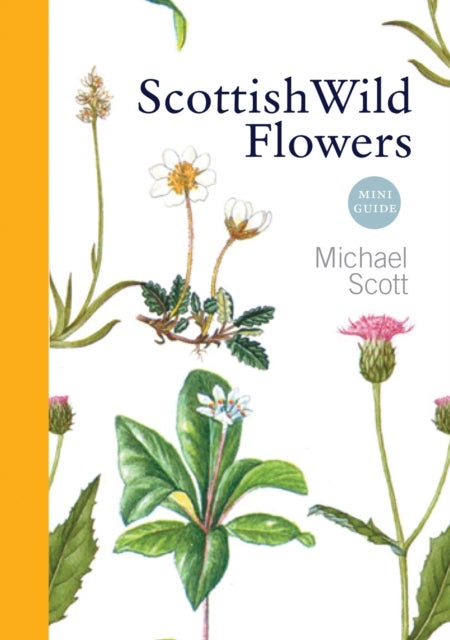 Scottish Wild Flowers - Mini Guide