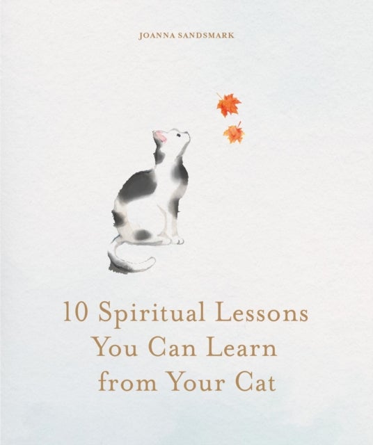 10 Spiritual Lessons You Can Learn from Your Cat - Essential Life Lessons We Can Learn From Our Furry Friend