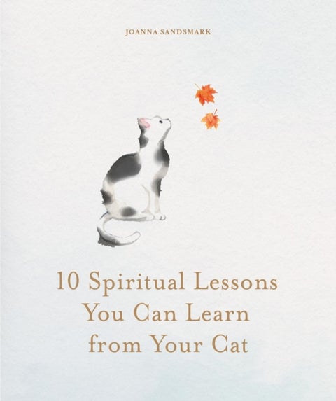 10 Spiritual Lessons You Can Learn from Your Cat - Essential Life Lessons We Can Learn From Our Furry Friend