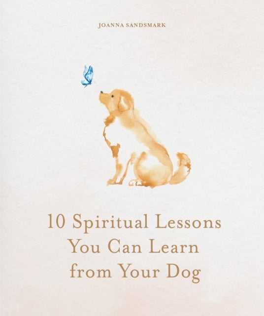 10 Spiritual Lessons You Can Learn from Your Dog - Essential Life Lessons We Can Learn From Our Furry Friend