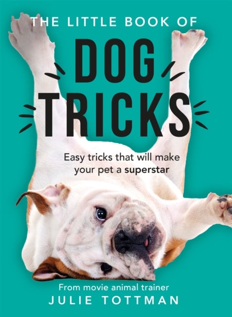 The Little Book of Dog Tricks - Easy tricks that will give your pet the spotlight they deserve