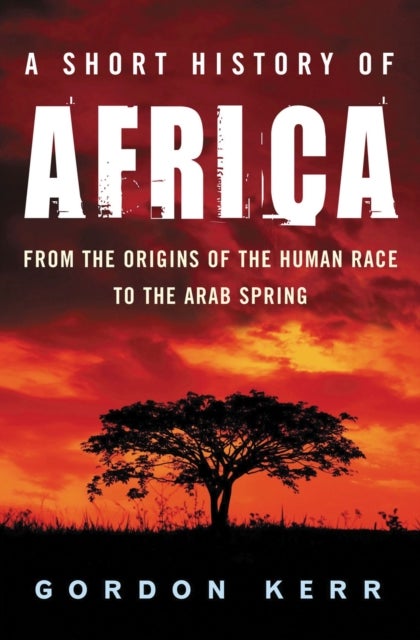 A Short History of Africa - From the Origins of the Human Race to the Arab Spring