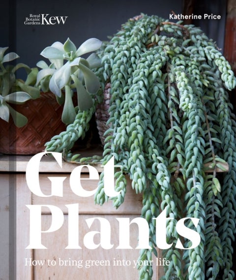 Get Plants - How to bring green into your life