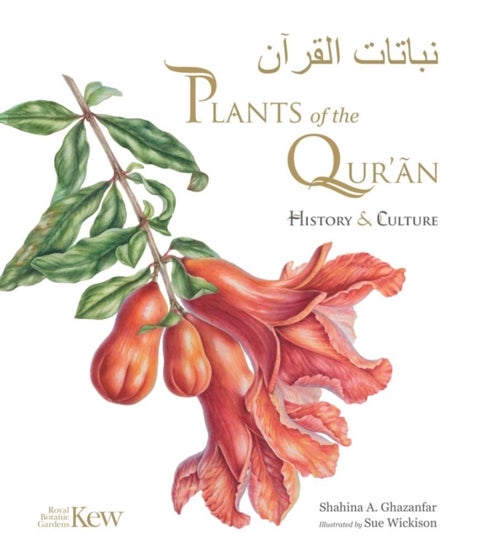Plants of the Quran - History & Culture