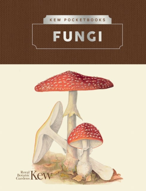 Kew Pocketbooks: Fungi