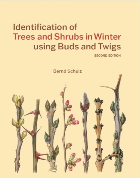 Identification of Trees and Shrubs in Winter using Buds and Twigs