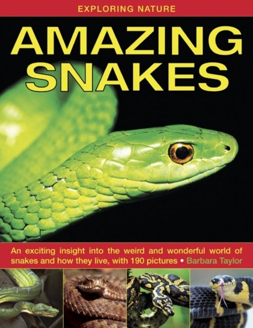 Exploring Nature: Amazing Snakes - an Exciting Insight into the Weird and Wonderful World of Snakes and How They Live, with 190 Pictures