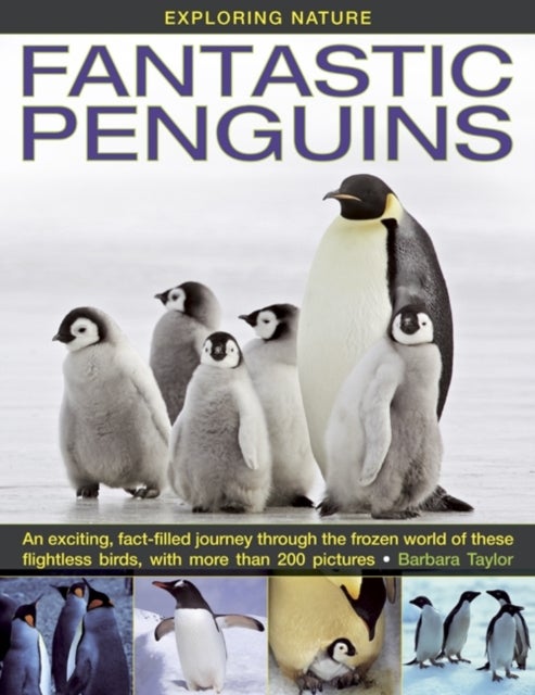 Exploring Nature - Fantastic Penguins: An Exciting, Fact-filled Journey Through the Frozen World of These Flightless Birds, with More Than 200 Pictures