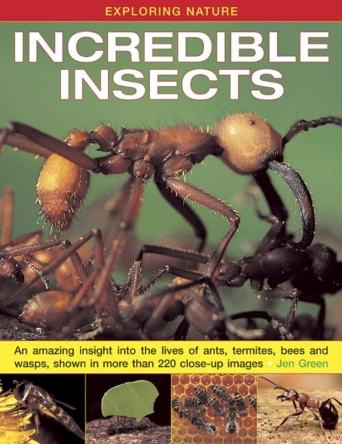Exploring Nature: Incredible Insects: An Amazing Insight into the Lives of Ants, Termites, Bees and Wasps, Shown in More Than 220 Close-up Images - An Amazing Insight into the Lives of Ants, Termites, Bees and Wasps, Shown in More Than 220 Close-up Images