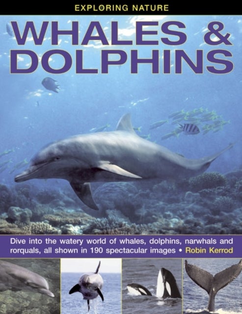 Exploring Nature: Whales & Dolphins: Dive into the Watery World of Whales, Dolphins, Narwhals and Rorquals, All Shown in 190 Spectacular Images - Dive into the Watery World of Whales, Dolphins, Narwhals and Rorquals, All Shown in 190 Spectacular Images