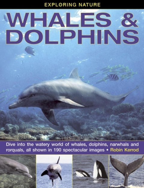 Exploring Nature: Whales & Dolphins: Dive into the Watery World of Whales, Dolphins, Narwhals and Rorquals, All Shown in 190 Spectacular Images - Dive into the Watery World of Whales, Dolphins, Narwhals and Rorquals, All Shown in 190 Spectacular Images
