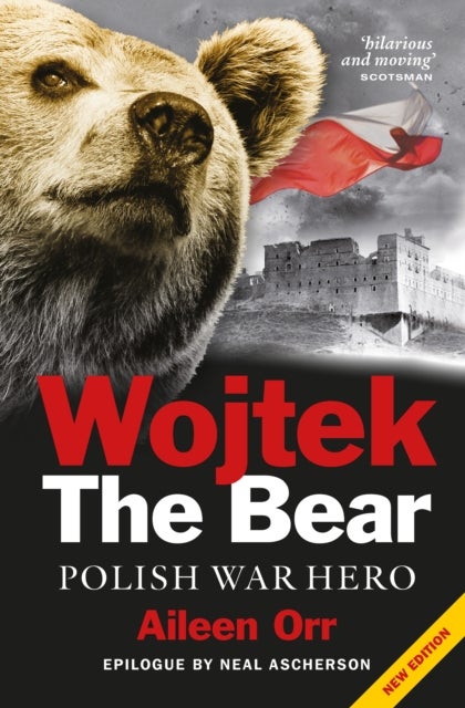 Wojtek: The Bear Who Beat the Nazis - Polish War Hero
