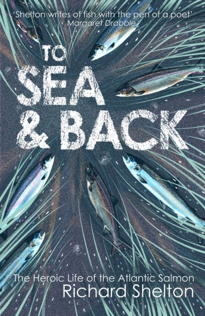 To Sea and Back - The Heroic Life of the Atlantic Salmon