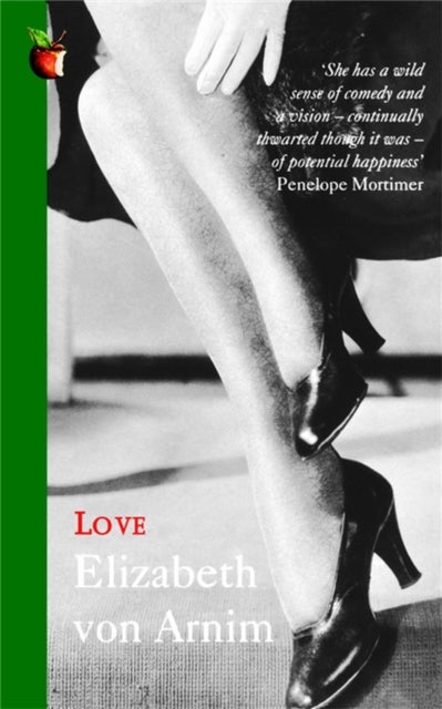 Love - A Virago Modern Classic