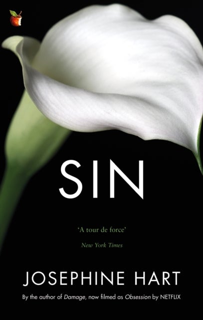 Sin - By the author of DAMAGE, inspiration for the Netflix series OBSESSION