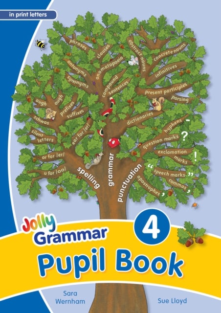 Grammar 4 Pupil Book - In Print Letters (British English edition)