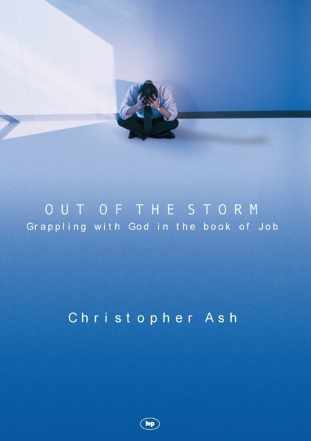 Out of the storm - Questions And Consolations From The Book Of Job