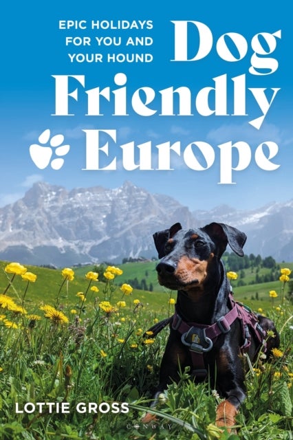 Dog-Friendly Europe - Epic holidays for you and your hound