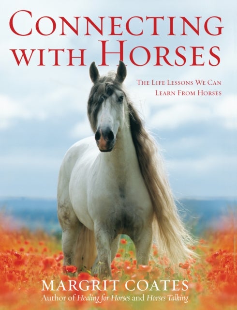 Connecting with Horses - The Life Lessons We Can Learn from Horses