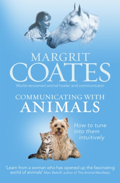 Communicating with Animals - How to tune into them intuitively