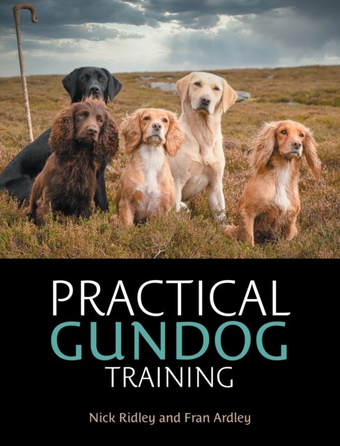 Practical Gundog Training