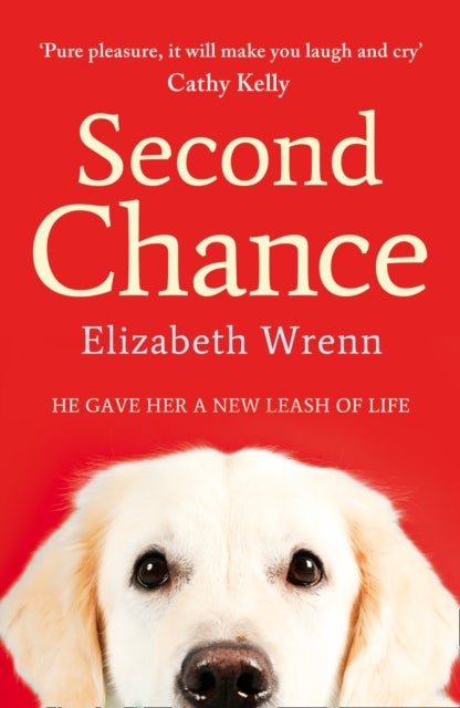 Second Chance